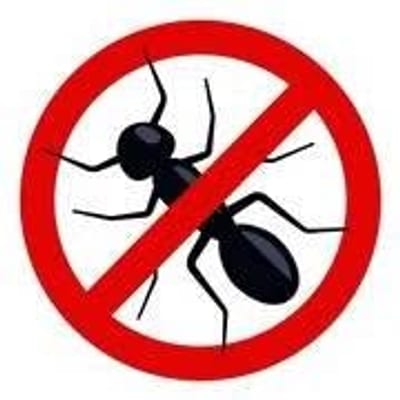 ANTS - Pest Control Service profile picture